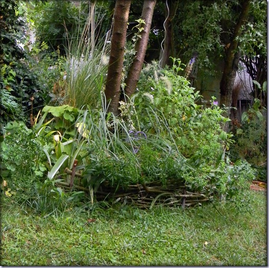 DSCN8777 DSCN8777