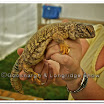 Attractions  019.jpg