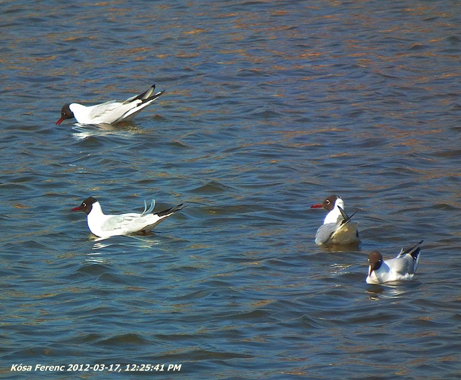 [2012_03_17_122541_DSCF7655_crop%255B4%255D.jpg]