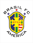 bfca logo png.png
