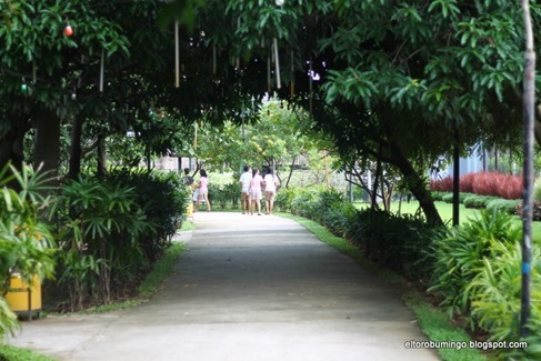 IMG_5513 IMG_5513