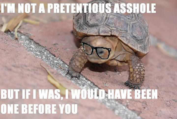 Turtles aren't pretentious assholes, but if they were, they would have been before you