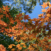 2008 10 October 15th 048.jpg