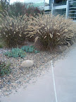 DSCF0037-1.jpg