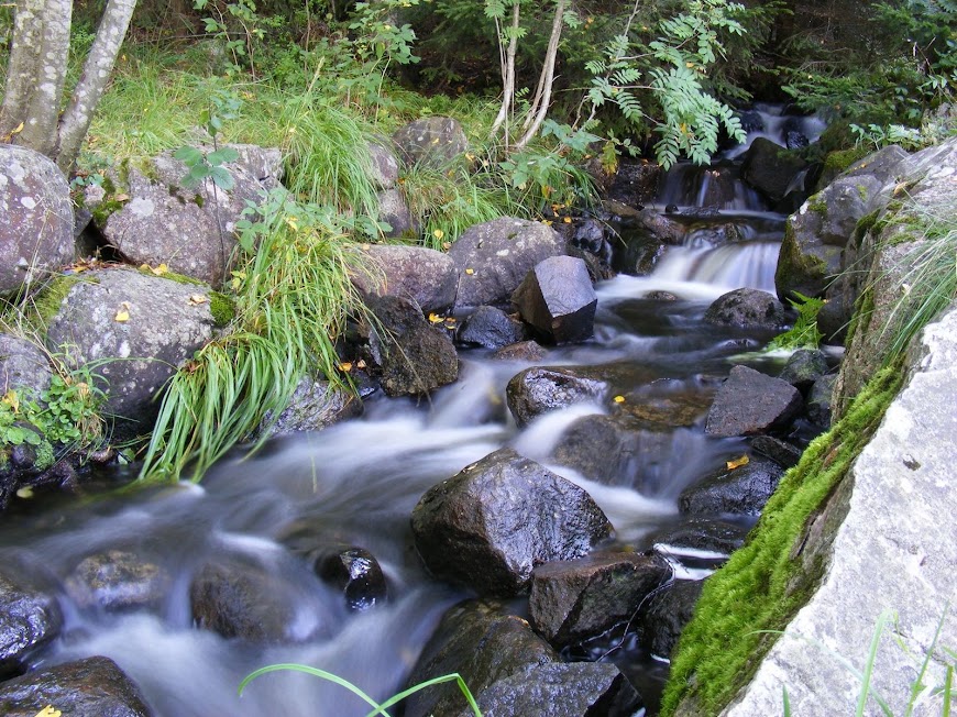 DSCF6429.JPG