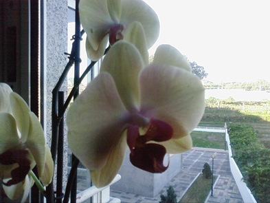 Foto0281