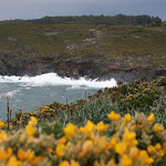 IMG_0002.JPG