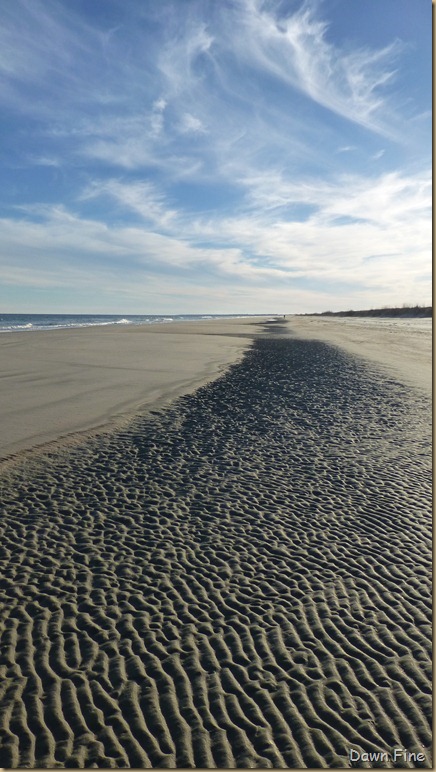 North Beach_123