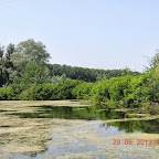 DSCN8380.JPG