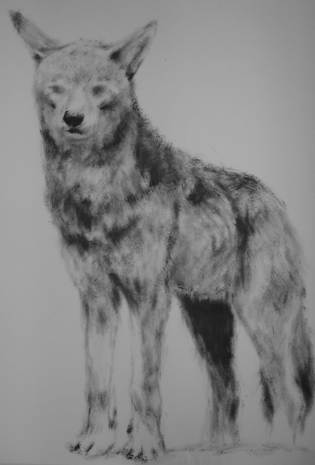 [wolf%255B6%255D.jpg]