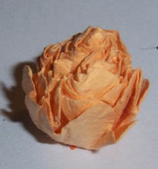101_0076 101_0076
