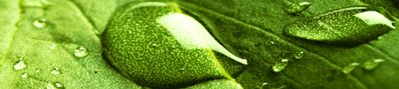 [Naturefest%255B3%255D.gif]