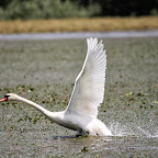 IMG_6466.JPG