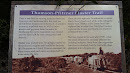 Thompson Pfitzner Plaster Trail
