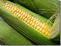 fresh corn