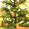 BILD0263.JPG