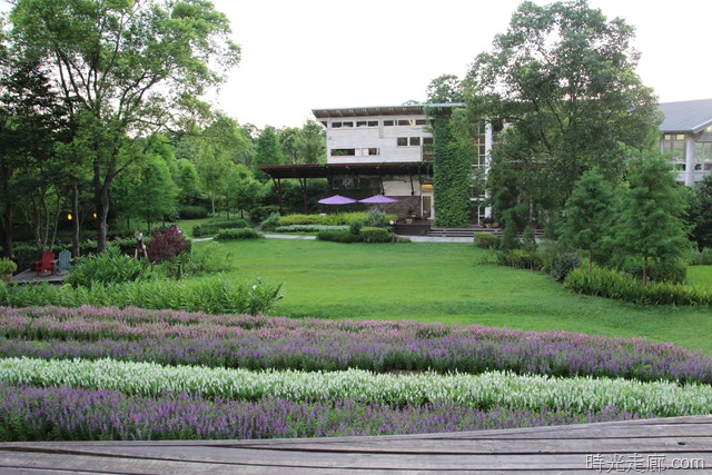 [IMG_5252%255B44%255D.jpg]