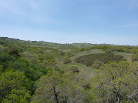 P1030915.JPG