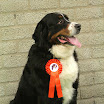 Kampioenschapsclubmatches - Kampioenschapsclubmatch 2010