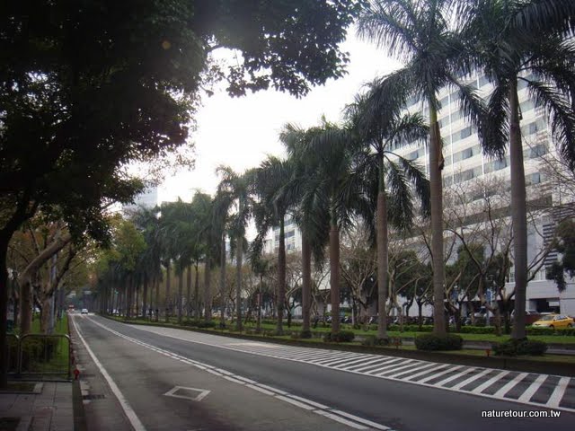 0190933542.jpg