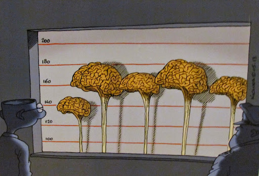 162 Kishka Vibor Mozga.jpg