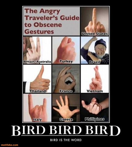 [bird-bird-bird-giving-the-finger-demotivational-posters-1295452302%255B6%255D.jpg]