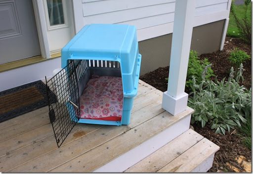 spray paint dog crate