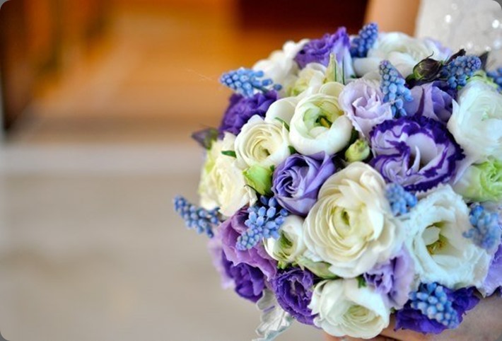 69-116 solomon bloemen 69-116 solomon bloemen