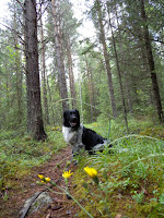 DSCN0383.JPG