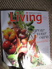Are There Vegetables Growing in the Garden?