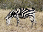 Akagera Nationalpark