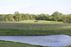 A view of the vineyard from the second floor.