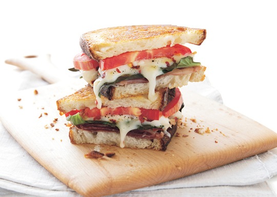 [grilled-cheese-food-pron-4%255B2%255D.jpg]