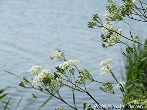 20120527 034