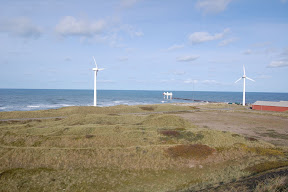 DSC_0306.JPG