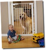 kidcogate