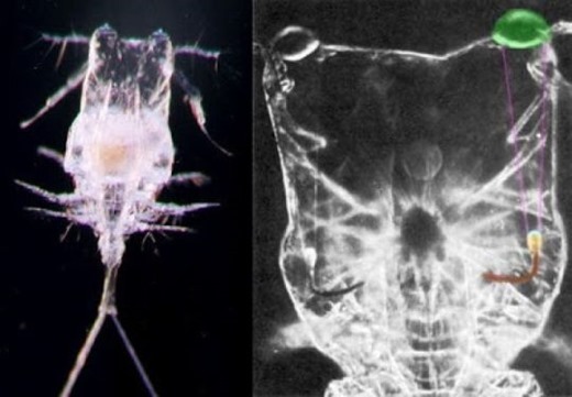 [clip_image010%255B4%255D.jpg]