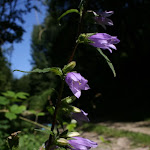 photoIMG_3535.jpg