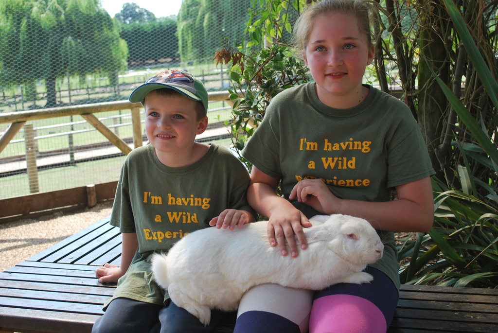 [DSC_0936%255B7%255D.jpg]