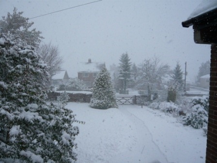 [snow2%255B3%255D.jpg]