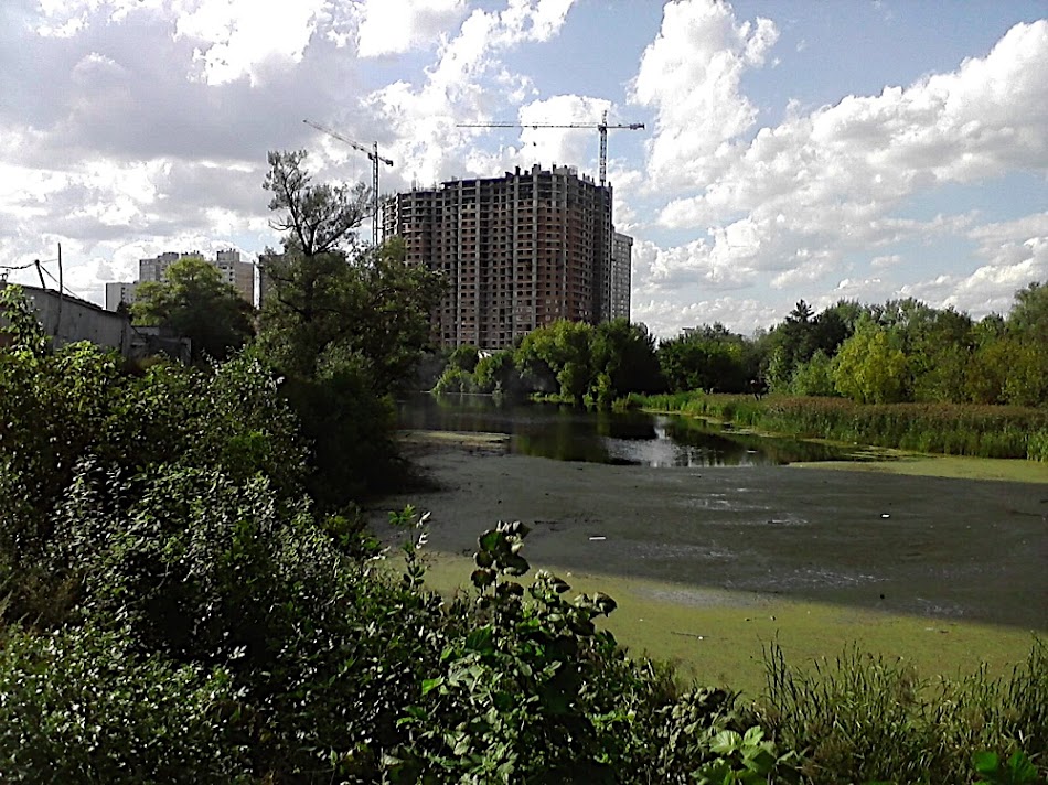 P200811_16.37.jpg
