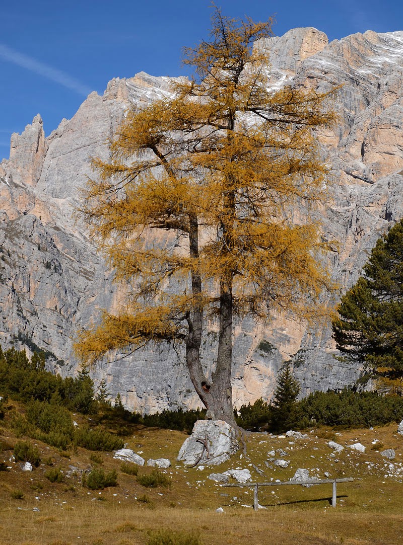 DSC_3915_2w.jpg DSC 3915 2w