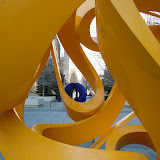 "Tabachin Ribbon and Coral - Chicago" - copyright Sarah Weinman