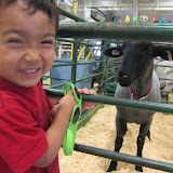 Santa Clara County Fair - August 4, 2011