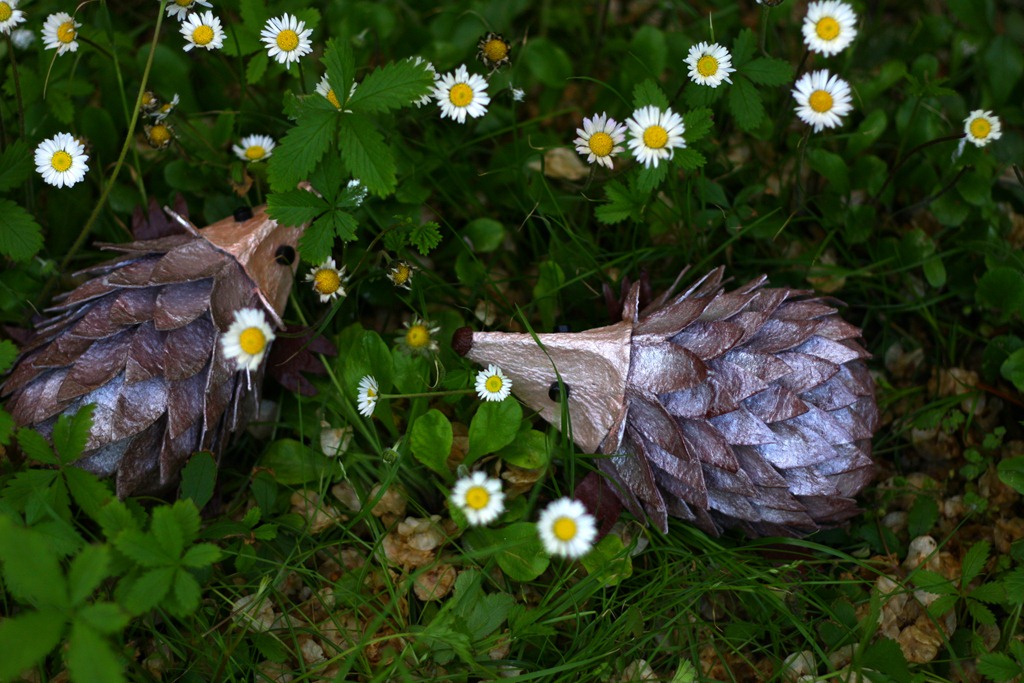 [riccio%2520Schiccio-007%255B4%255D.jpg]