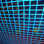 DSC05708.JPG