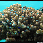 IMG_8842.JPG