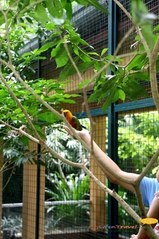 Langkawi Wildlife Park Langkawi Wildlife Park