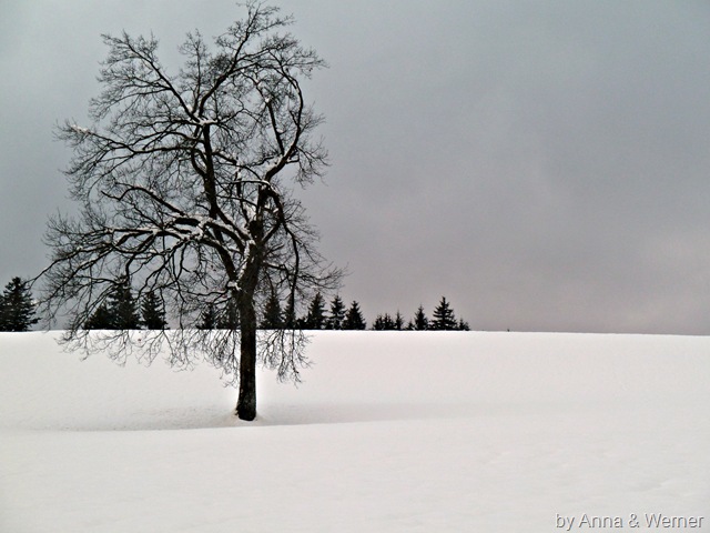 [2012_01_10%2520Spaziergang2%255B3%255D.jpg]
