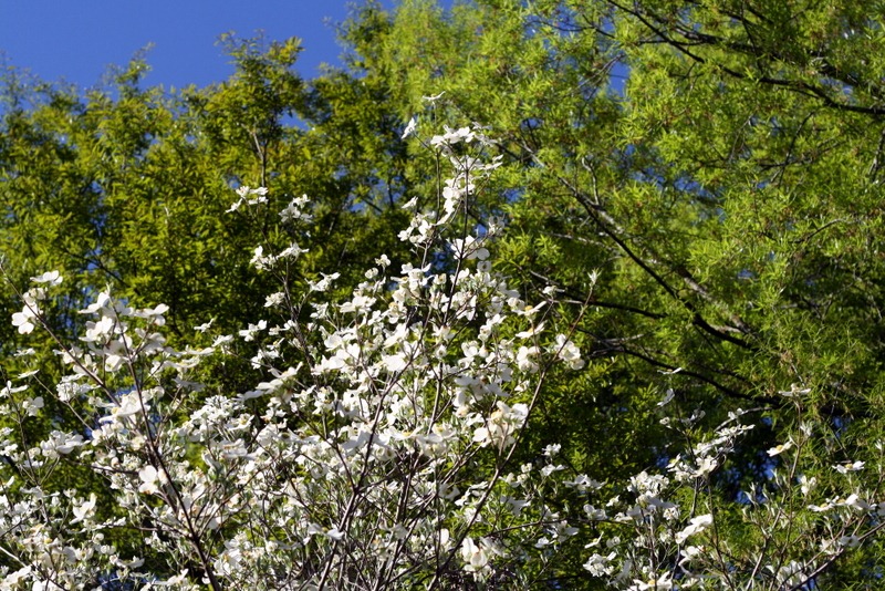 [IMG_53804.jpg]